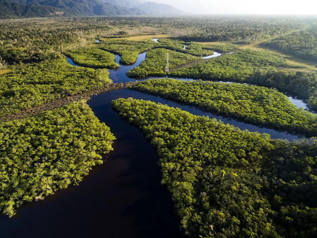Pantanal, le sanctuaire de la biodiversité