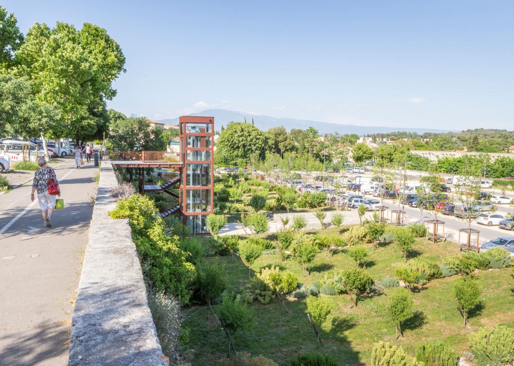 Impact du changement climatique sur la biodiversité urbaine