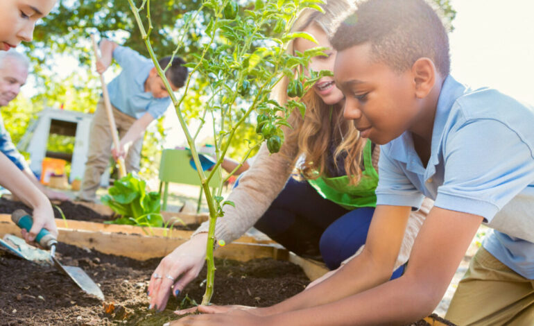 Investissements publics et éducation : quels impacts économiques et environnementaux