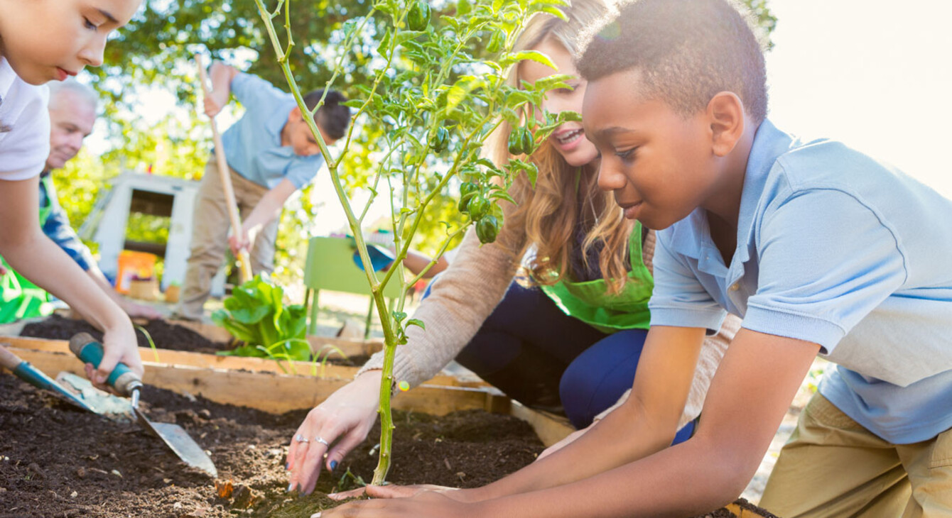 Investissements publics et éducation : quels impacts économiques et environnementaux