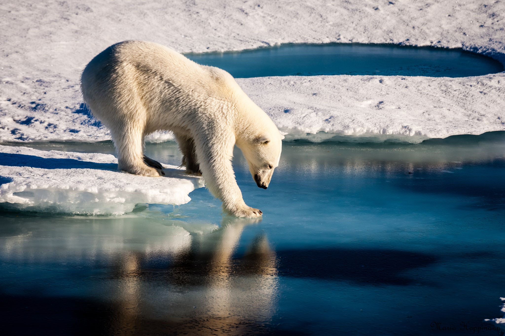 Climat: la superficie de la banquise arctique enregistre un nouveau record à la baisse
