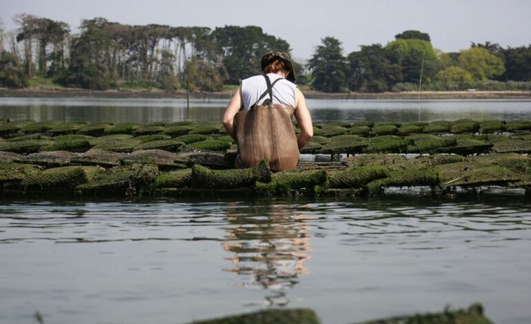 Amélioration de la qualité des eaux littorales : le Gouvernement publie une feuille de route
